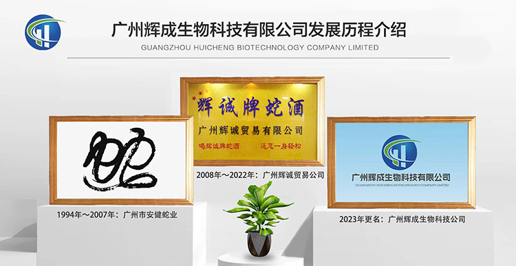 辉诚牌蛇酒-公司发展历程